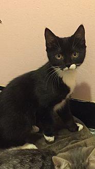Betty (20574250)