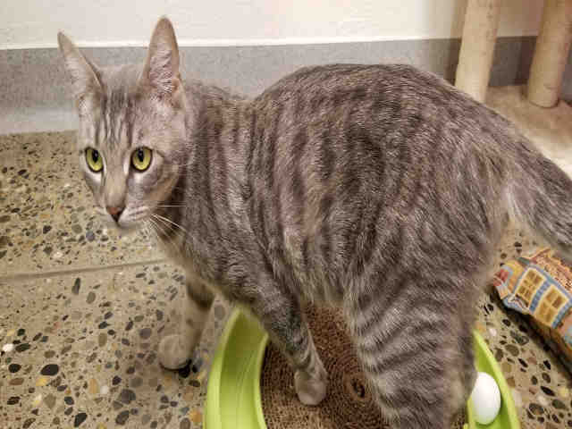 BETTY (A178622)