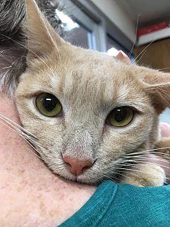Billy (20716343)