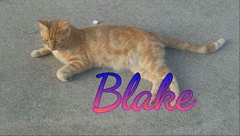 Blake (19940549)