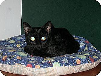 Bonnie (10754541)
