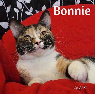 Bonnie (20513560)