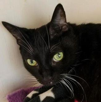 Bootsie (18628558)