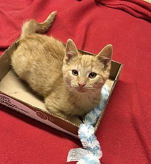 Butters (20129987)