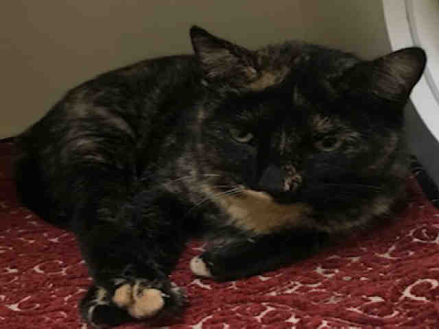 CALI (A002913)