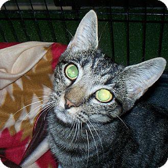 Camille (11636807)