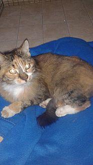 Camille (15267767)