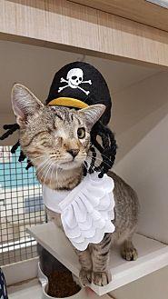 Captain Jack (20536640)