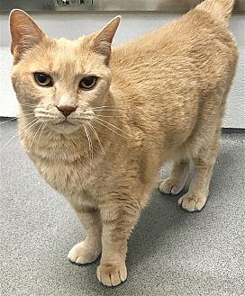 Carmela (20740743)