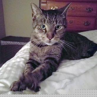 Carter (20145421)
