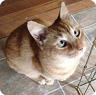 Casey (11165224)