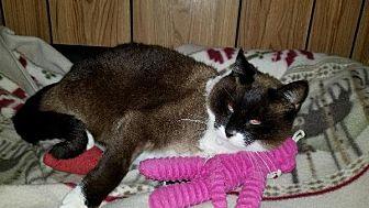 Cat 11392 (C (20722245)