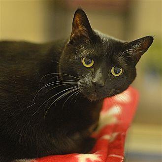Cici (20465995)