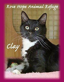 Clay (20609802)