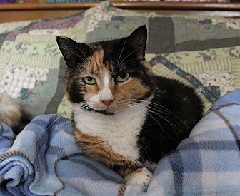 Cleo (12752354)