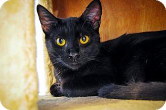 Cleo (16978650)