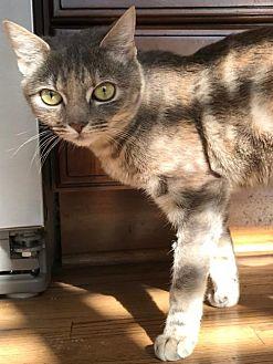 Cleo (20051514)