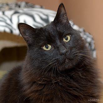 Clyde (20607090)