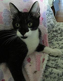 Cookie (19968406)