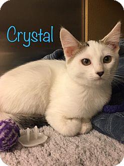 Crystal (18552289)