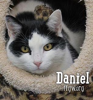 Daniel (20609647)
