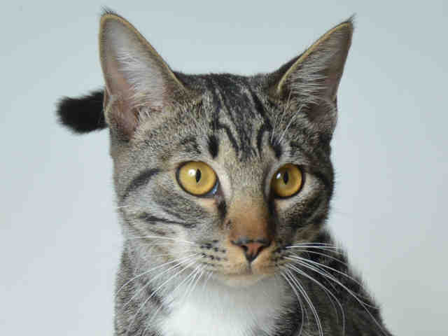 DARREN (A168469)