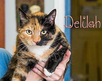 Delilah (20586928)