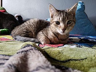 Diego (20679759)