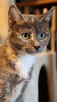 Dinah (20570610)