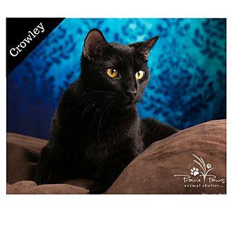 Crowley @ Pe (20663714)