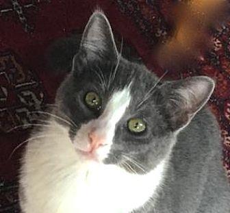 Elwood (20761539)