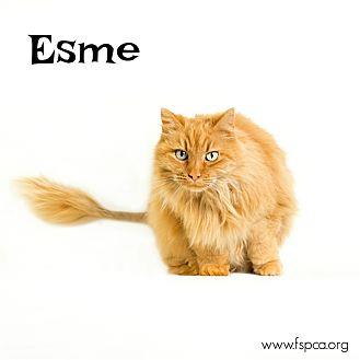 Esme (20452555)