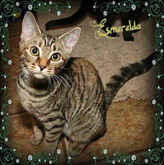 Esmerelda (20587869)