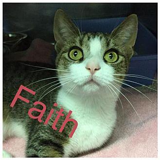 Faith (19682421)