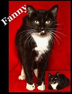 Fanny (20739414)