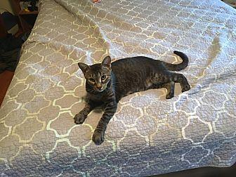 Fiona (18293016)