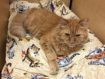 Fritz (20553790)