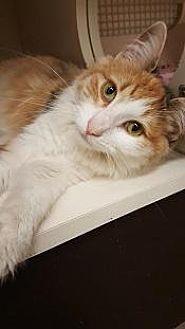 Fuzz (20767969)