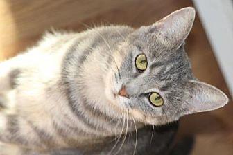 Gabby (19871413)