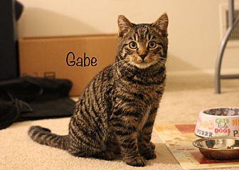 Gabe (20688068)