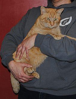 Garfield (20579004)
