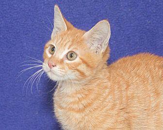 Garfield (20681752)