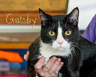 Gatsby (20671529)