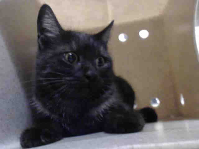 GERI (A543800)