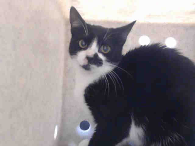 GLORIA (A544280)