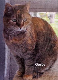 Gorby (20723901)