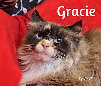 Gracie (20591650)