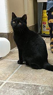 Guinness (20611847)
