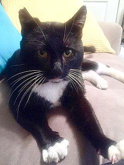 Gustaf (20604776)