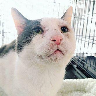 Harvey (20630483)